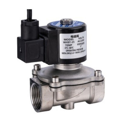 Underwater Stainless Steel Solenoid valve  for Music Spring Water Filter