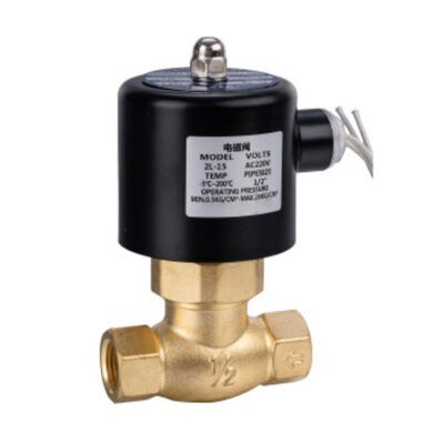 2L Series Steam Solenoid Valve Pilot Operated Piston Type